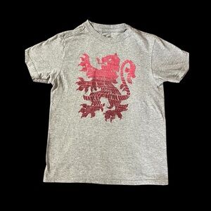 Harry Potter Gryffindor children’s T-shirt